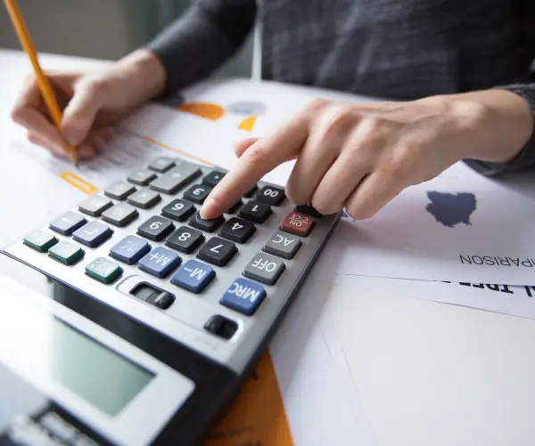 processo de apuração e organização de demonstrativos contábeis